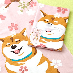 ���Ƥ̤������Ƹ��ޤ롡����