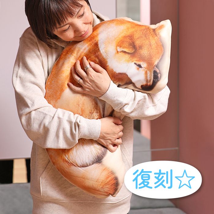 Hayu プレート　柴犬 Hayu プレート 柴犬 Hayu プレート 柴犬