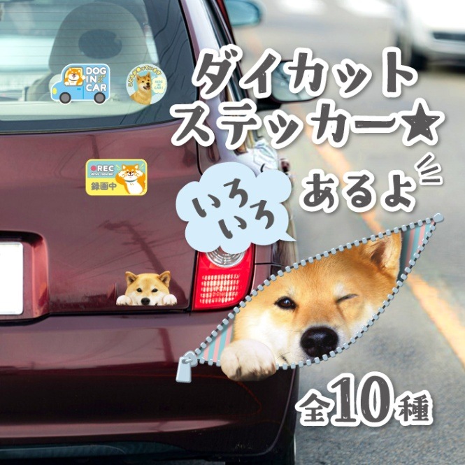 ��OUTLET�ۥ������åȥ��ƥå������������������