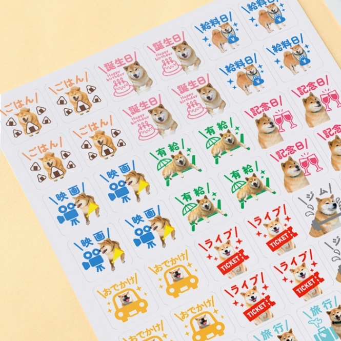 �Ƹ��ޤ�Υ������塼�륷����