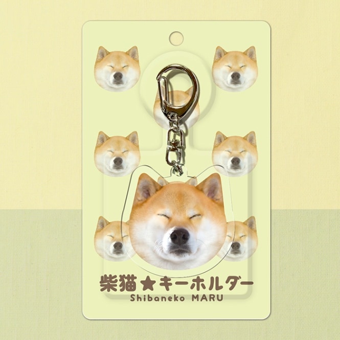 柴犬・トイプードル（茶）・ラグドール・キジトラ・黒ネコ　キーホルダー(大)　5点 柴犬・トイプードル（茶）・ラグドール・キジトラ・黒ネコ