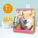 ����� ���᤯�ꥫ������ �ۼƸ��ޤ�Τ�����٤꽵�᤯��2026