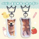 ƸޤŸ  Thank you for always loving MARU  ٥ӡޤۥ