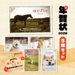 2026ǯ���Ƹ��ޤ��ǯ���5�祻�å�