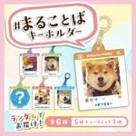 ư��վ޺ס����ޤ뤳�ȤХ����ۥ����