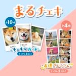 ư��վ޺ס����ޤ������