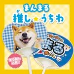 ư��վ޺ס��ޤ�ޤ�䤷������