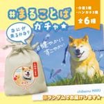 ư��վ޺ס��ޤ뤳�ȤХ�����