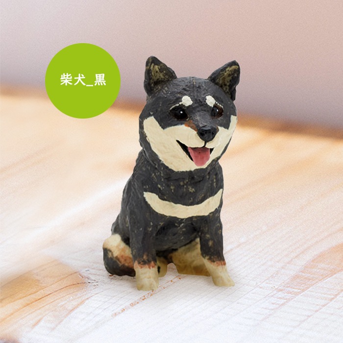 柴犬のりお様 Rio🐕柴犬イラストレーター/LINEスタンプクリエイター