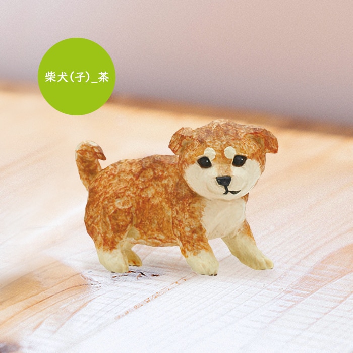 シトラス　はしもとみおさん　月と柴犬 シトラス はしもとみおさん 月と柴犬 うちのイヌ、うちのネコ