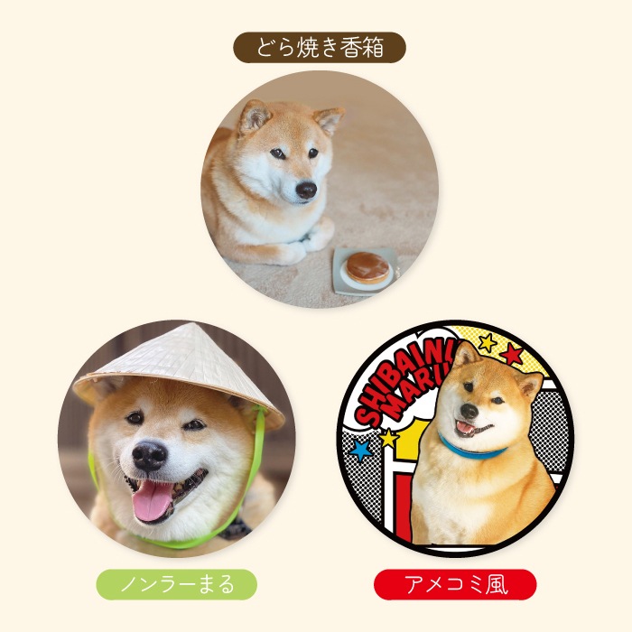 OUTLETۤޤޤޥѥåɡ