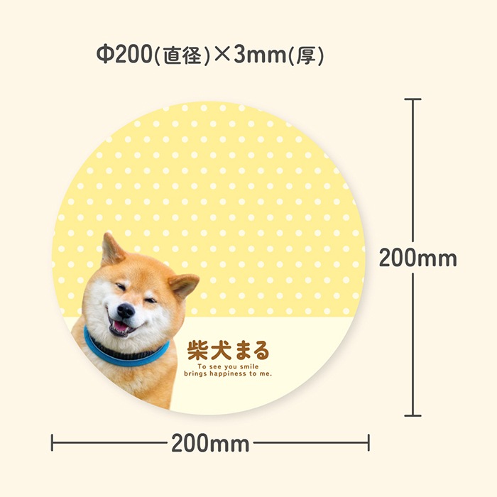 OUTLETۤޤޤޥѥåɡ