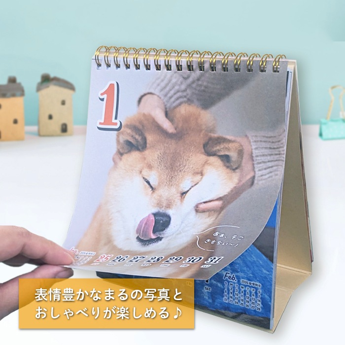  ᤯ꥫ ۼƸޤΤ٤꽵᤯2026