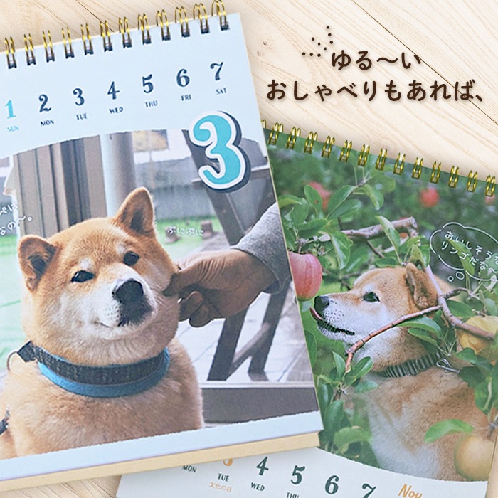  ᤯ꥫ ۼƸޤΤ٤꽵᤯2026