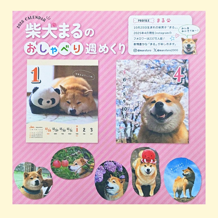  ᤯ꥫ ۼƸޤΤ٤꽵᤯2026