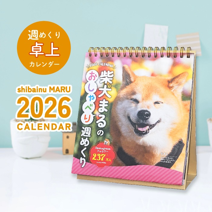  ᤯ꥫ ۼƸޤΤ٤꽵᤯2026