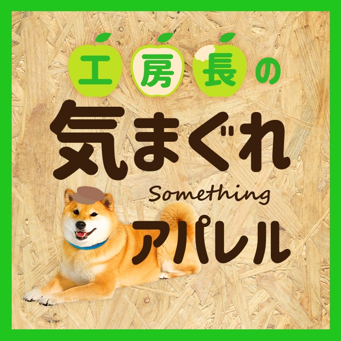 OUTLET۹˼Ĺεޤ쥢ѥ