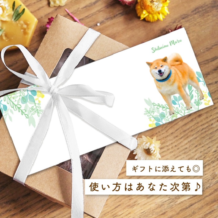 �ޤ��������ؤ���ޤ�ޤ�ɮ�