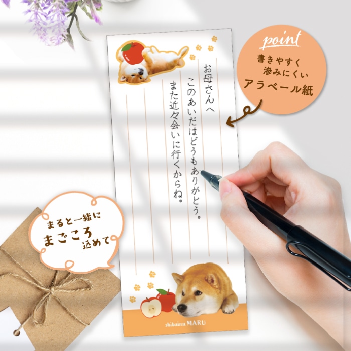 �ޤ��������ؤ���ޤ�ޤ�ɮ�