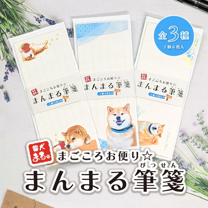 �ޤ��������ؤ���ޤ�ޤ�ɮ�