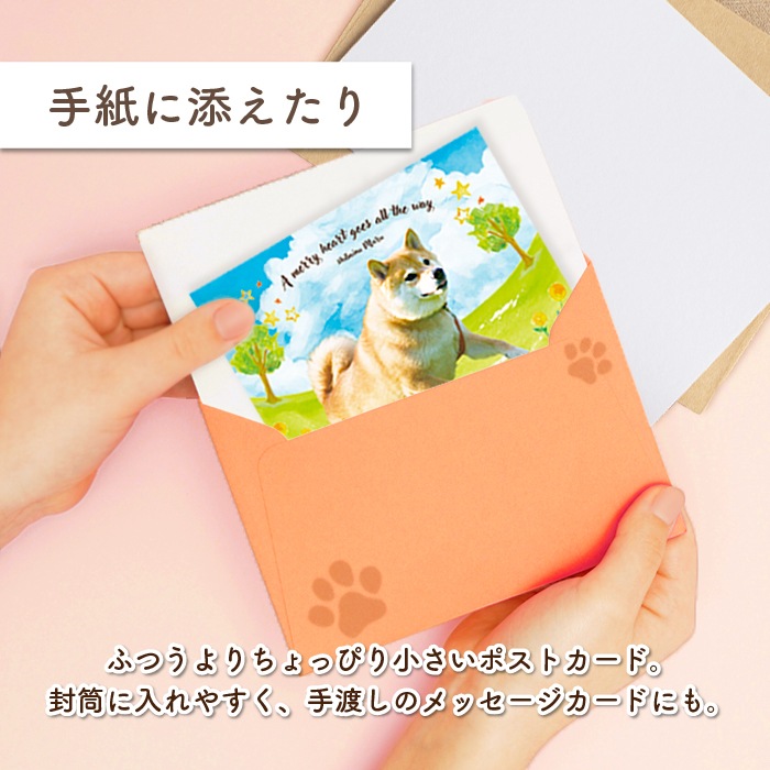 �ޤ뤢���ȡ��ݥ��ȥ�����