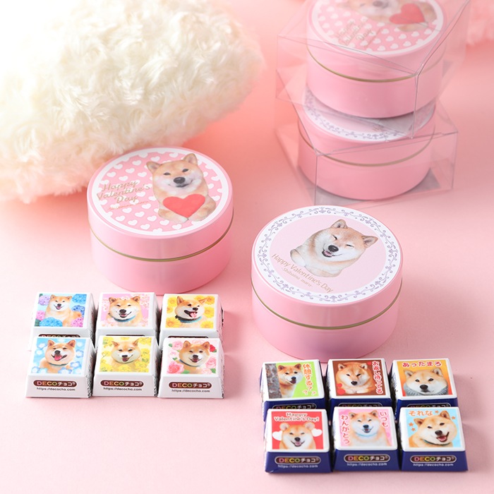 柴犬まるのDECOチョコ6個入り☆ピンク缶