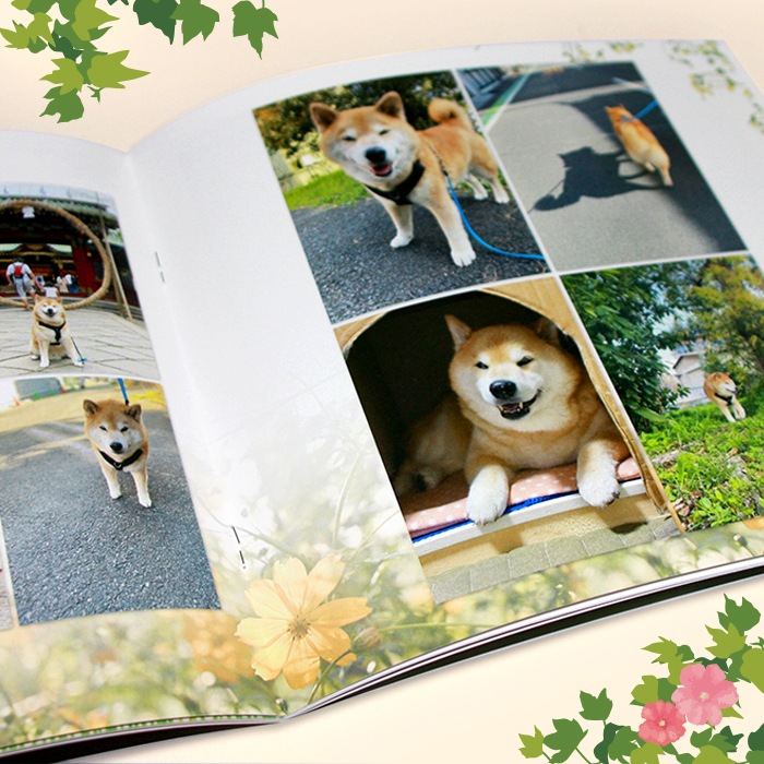 OUTLETۼƸޤŸ A Brand New Life Begins  ꥸʥѥեå(2022)