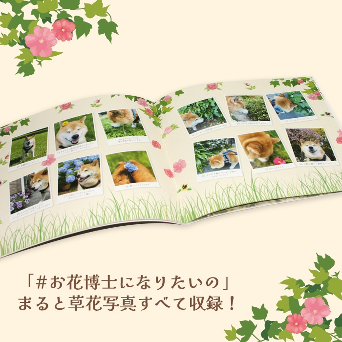 OUTLETۼƸޤŸ A Brand New Life Begins  ꥸʥѥեå(2022)