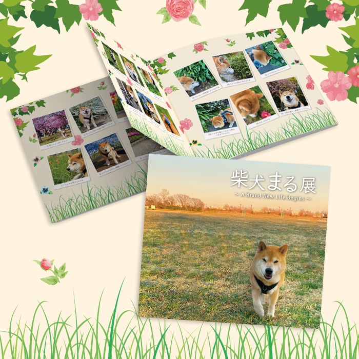 柴犬まる展～ A Brand New Life Begins ～ オリジナル