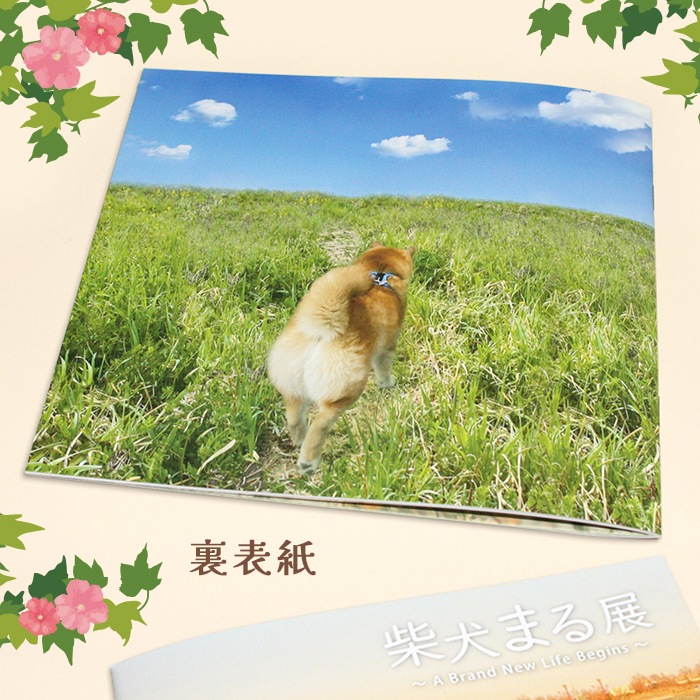 OUTLETۼƸޤŸ A Brand New Life Begins  ꥸʥѥեå(2022)