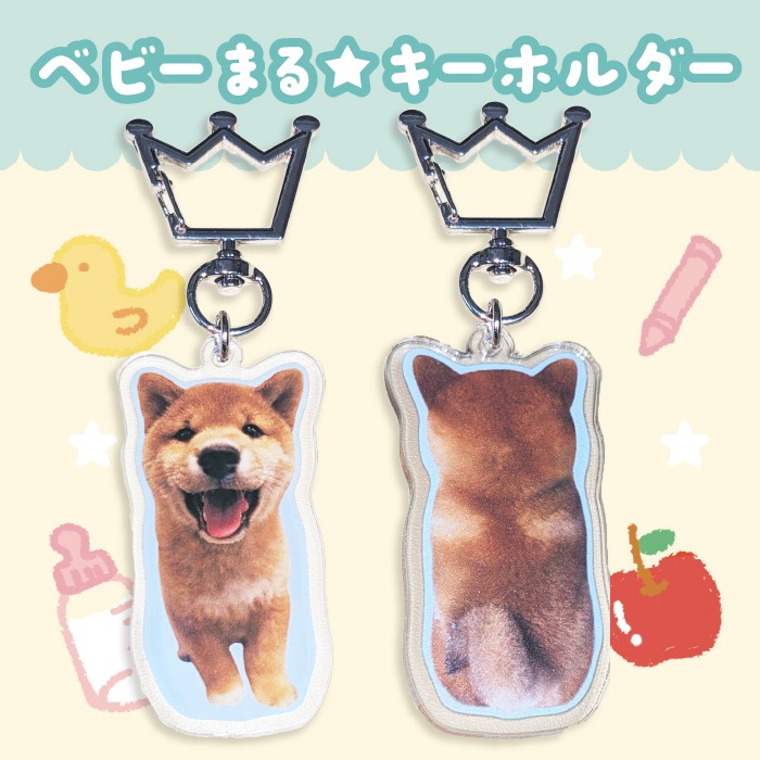 ƸޤŸ  Thank you for always loving MARU  ٥ӡޤۥ