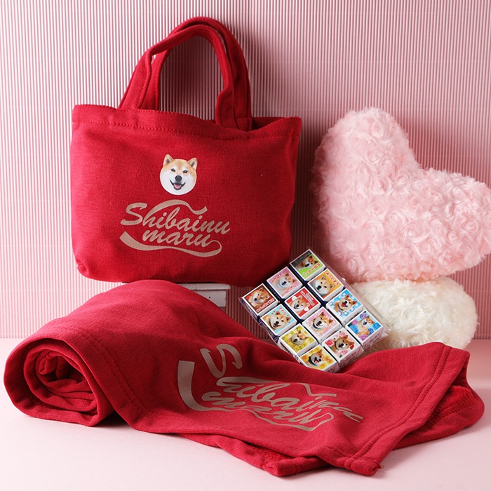 柴犬まるのDECOチョコ12個入り☆ スムースフリースブランケット(バッグ付)