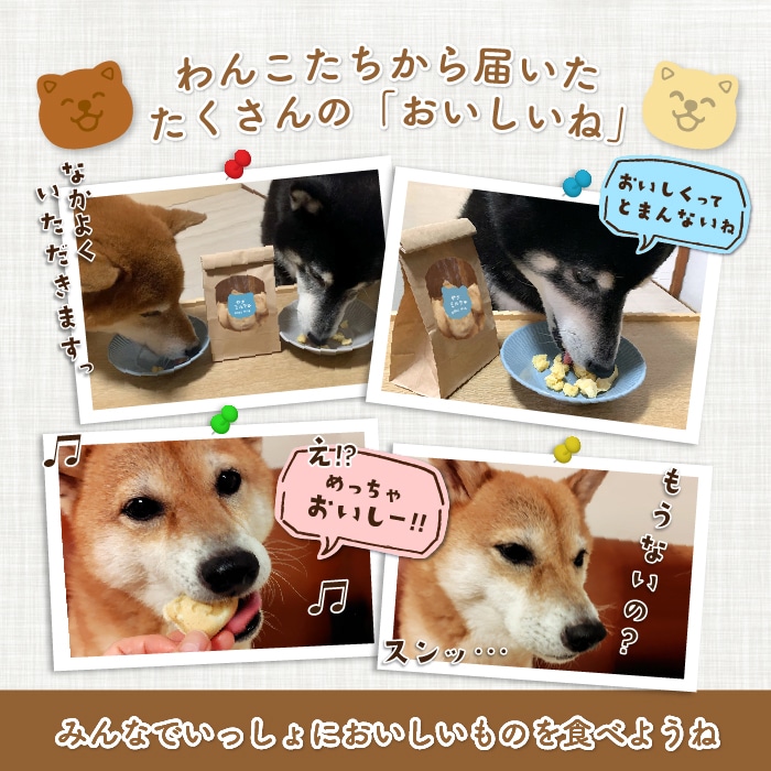 �ڤ���ѡۥ٥ӡ��ޤ륫���ƥ��2���ࡪ��