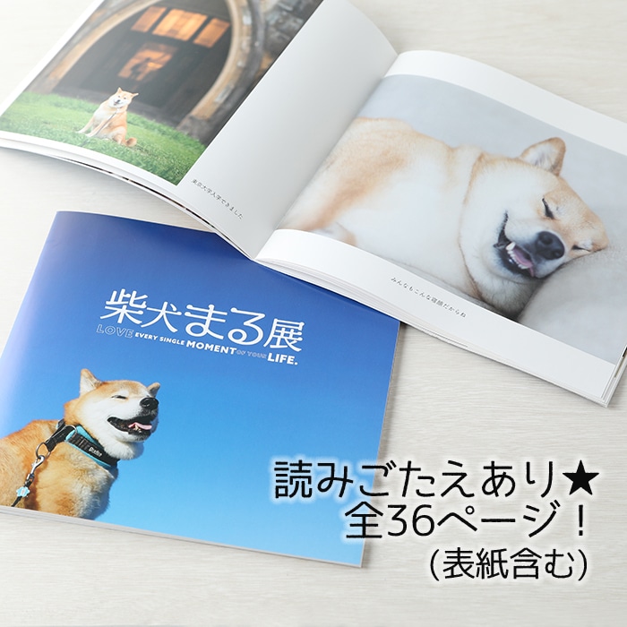 no* 犬がいます パンフレット X Pearl vvc0144-1size.jpg