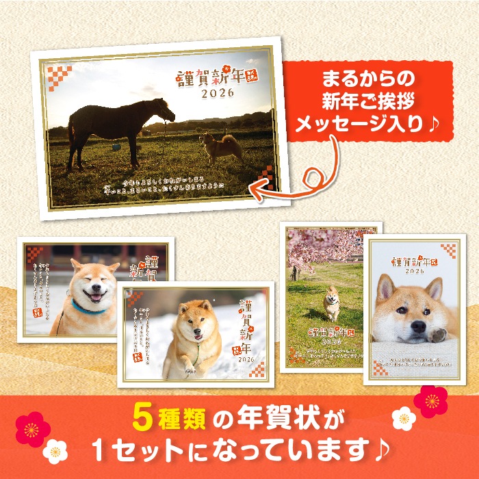 2026ǯ���Ƹ��ޤ��ǯ���5�祻�å�