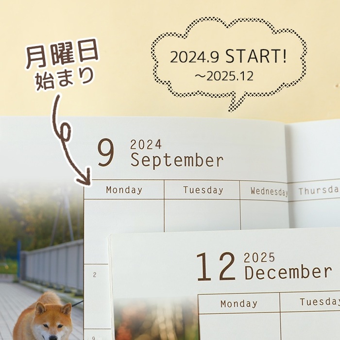 OUTLET2025ǯ ƸޤΥ塼Ģ