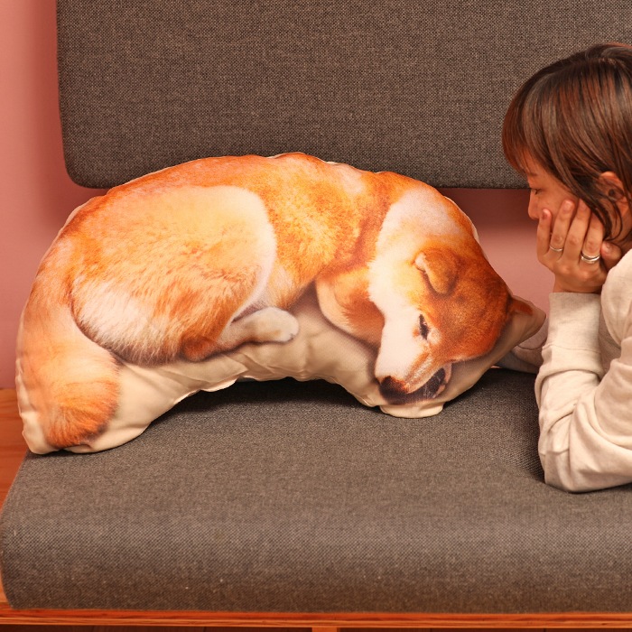 �����������������åȤͤ�ͤޤ륯�å����