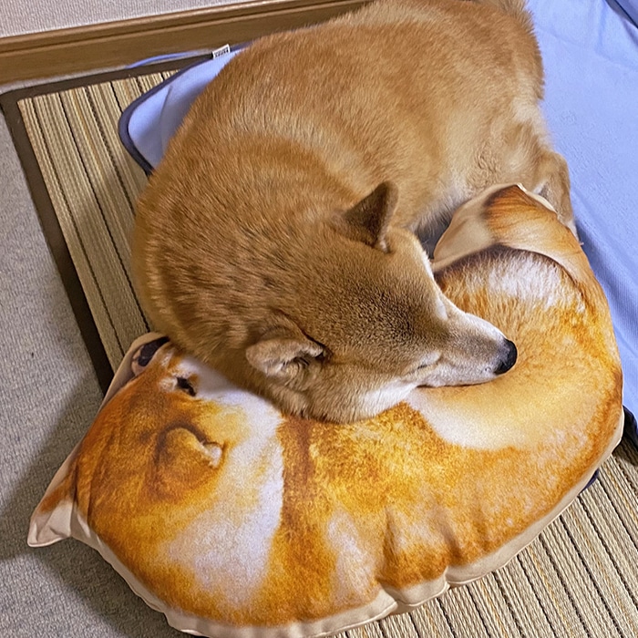 【貴重品】やくしまるえつこ　相対性理論　ハニワ犬クッション 貴重品】やくしまるえつこ 相対性理論 ハニワ犬クッション