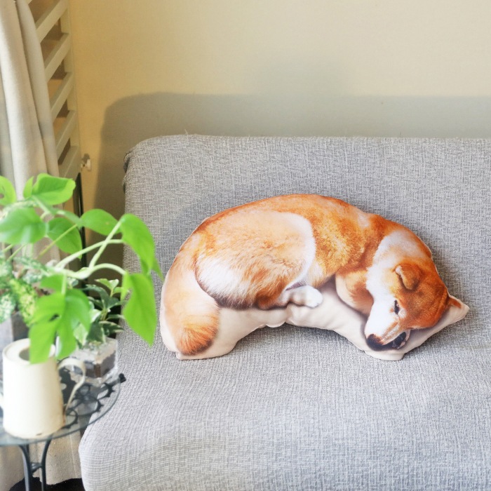 �����������������åȤͤ�ͤޤ륯�å����