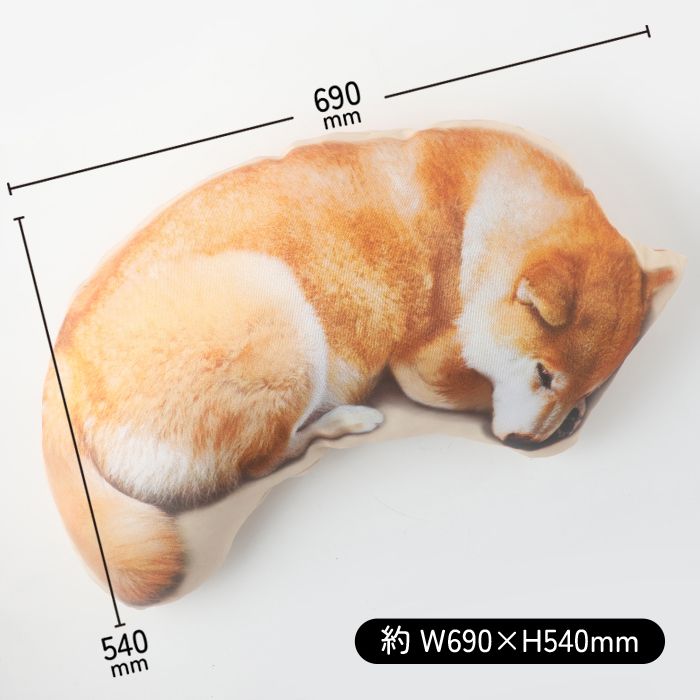 �����������������åȤͤ�ͤޤ륯�å����