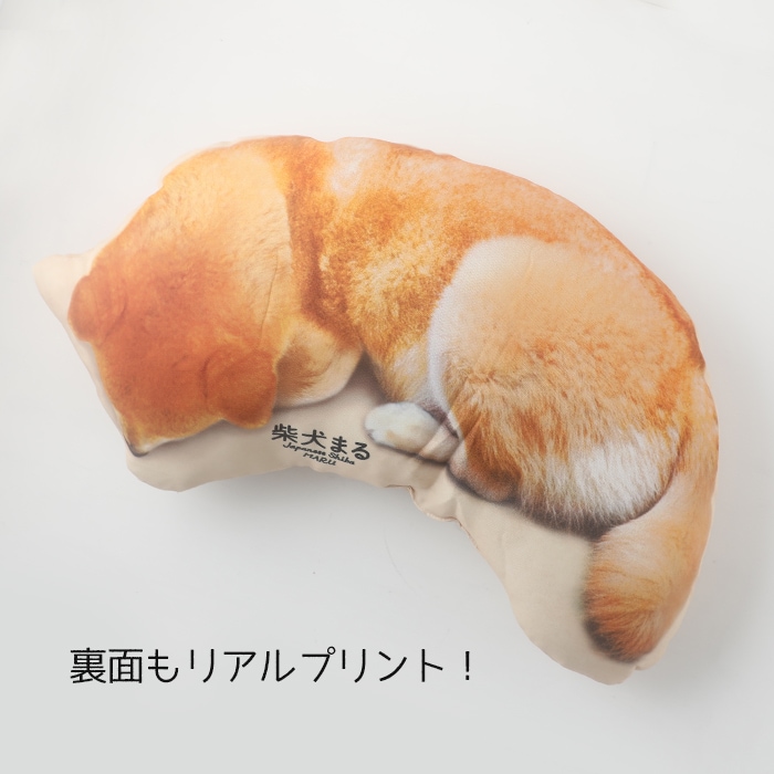 �����������������åȤͤ�ͤޤ륯�å����