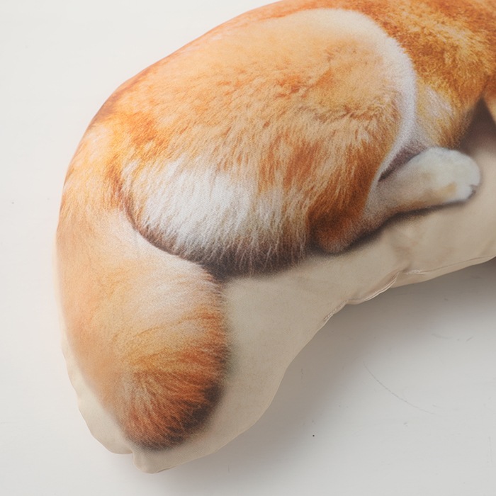 �����������������åȤͤ�ͤޤ륯�å����