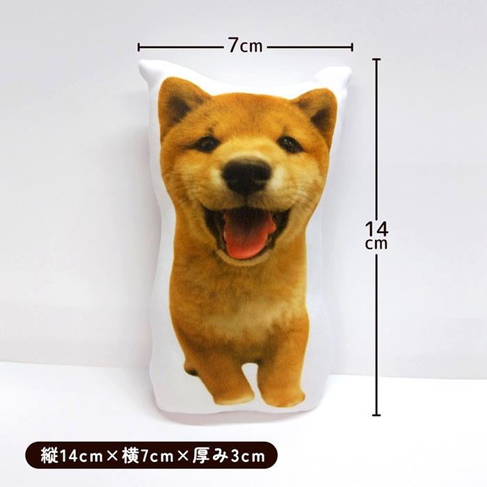 �Ƹ��ޤ�Ÿ �� Thank you for always loving MARU �� ���Ӥ������٥ӡ��ޤ륯�å����