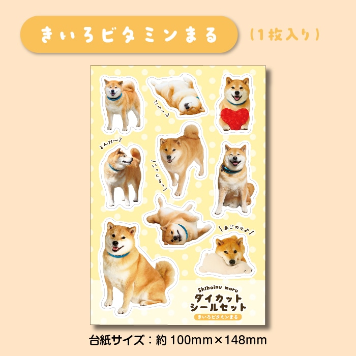 �̿�Ÿ���������åȥ����륻�å�