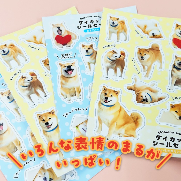 �̿�Ÿ���������åȥ����륻�å�