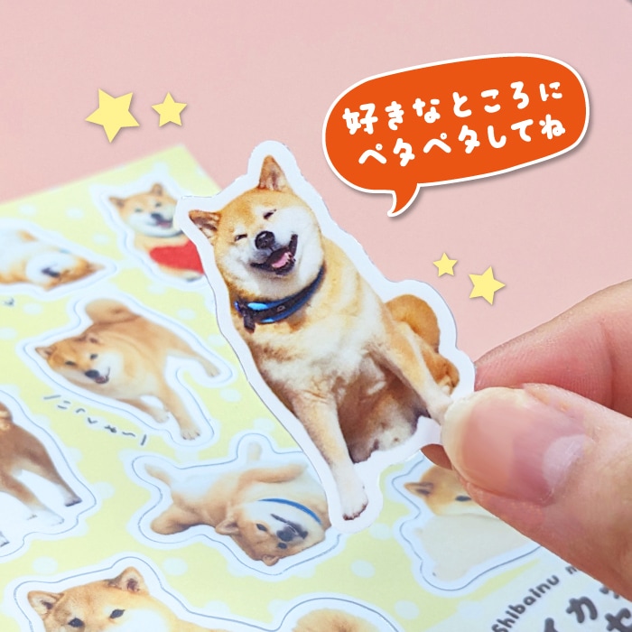 �̿�Ÿ���������åȥ����륻�å�