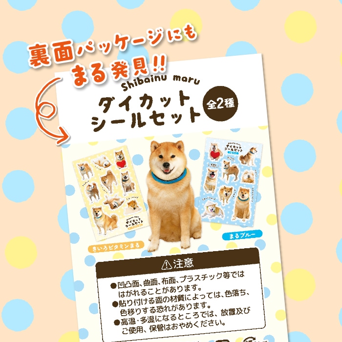 �̿�Ÿ���������åȥ����륻�å�