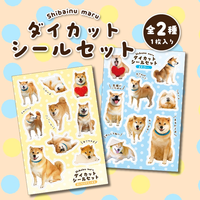 �̿�Ÿ���������åȥ����륻�å�