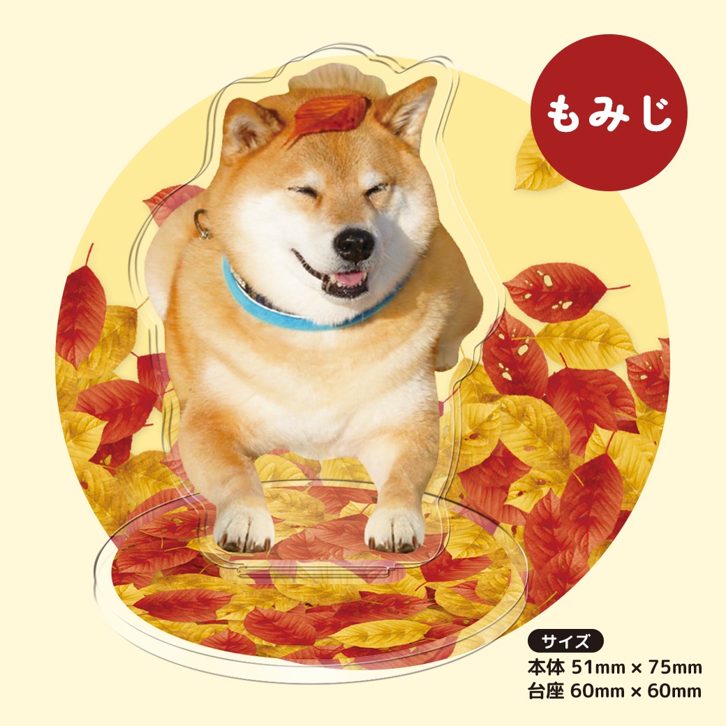 Ƹޤ륹