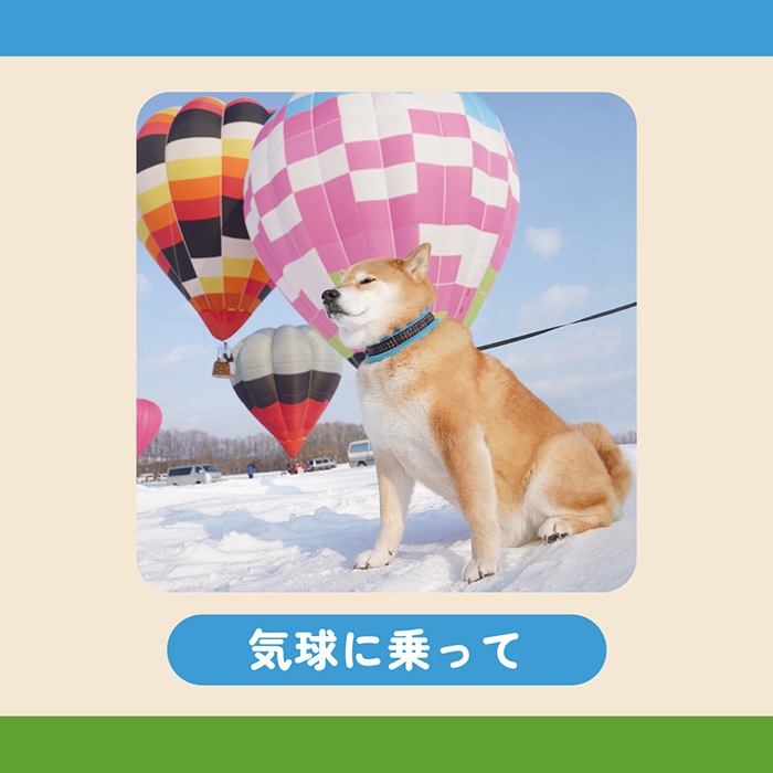 フルカラー☆紙コースター|柴犬まるグッズ公式通販【marutaro.shop】